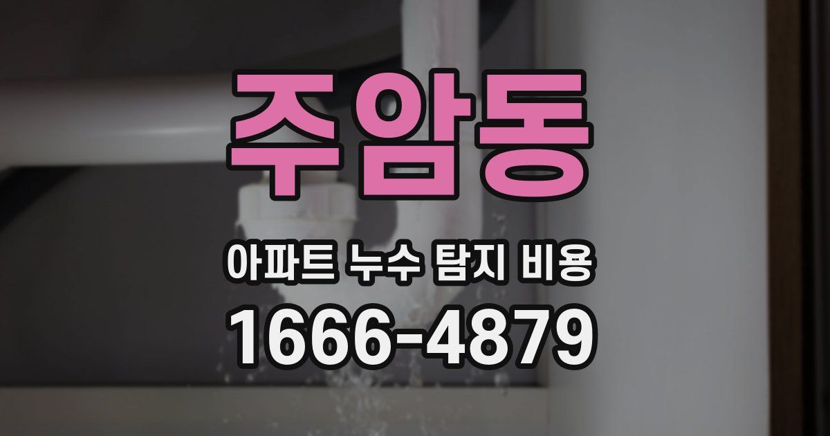 주암동 아파트 누수 탐지 비용