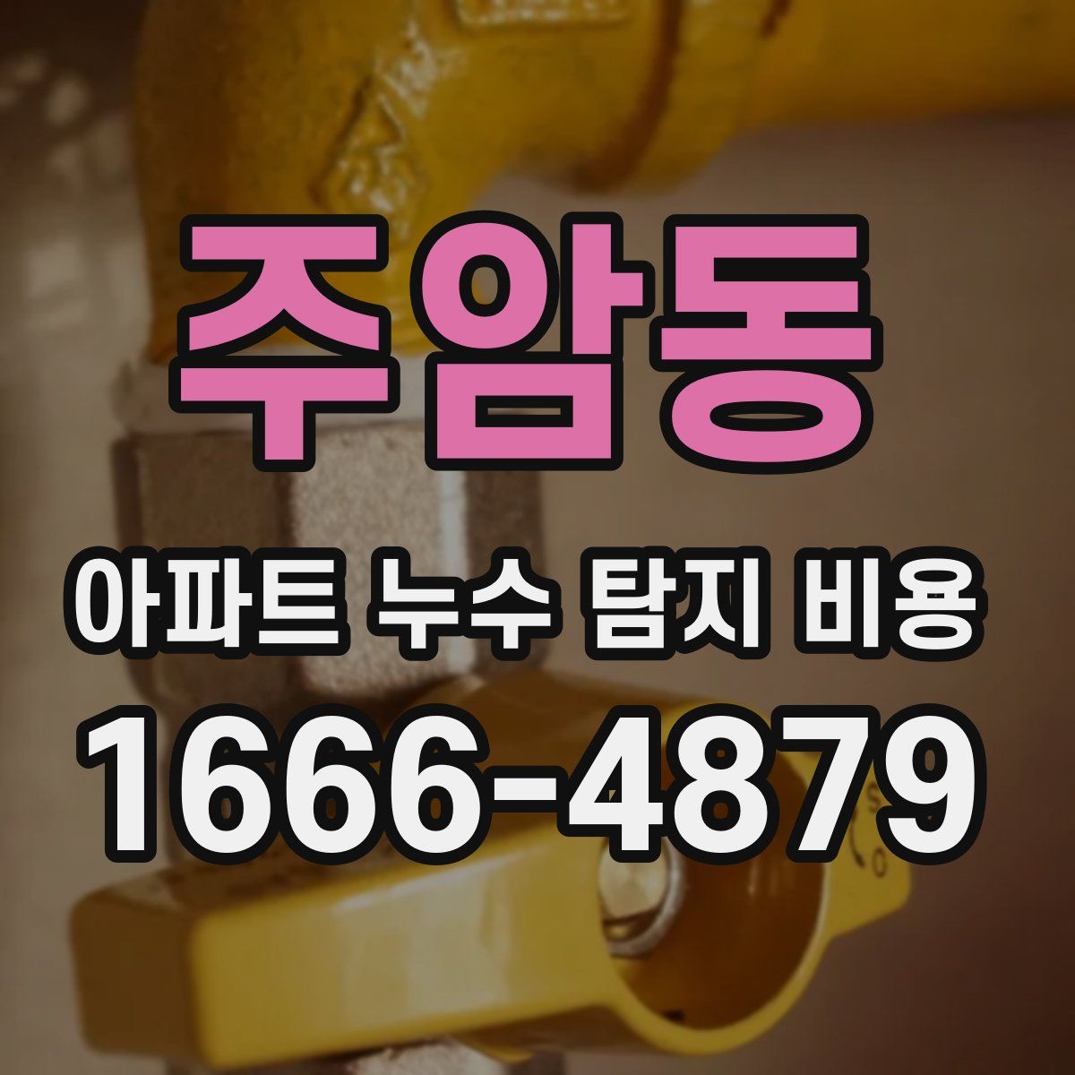 주암동 아파트 누수 탐지 비용
