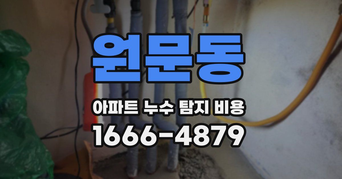 원문동 아파트 누수 탐지 비용
