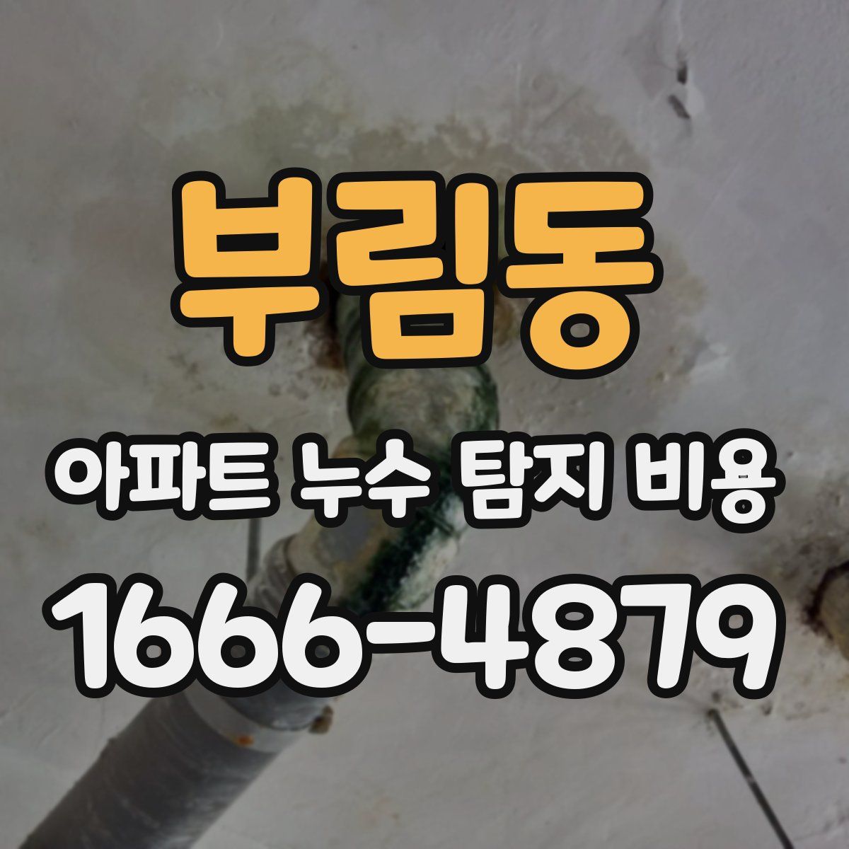부림동 아파트 누수 탐지 비용