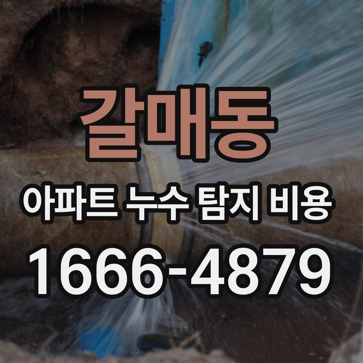 갈매동 아파트 누수 탐지 비용