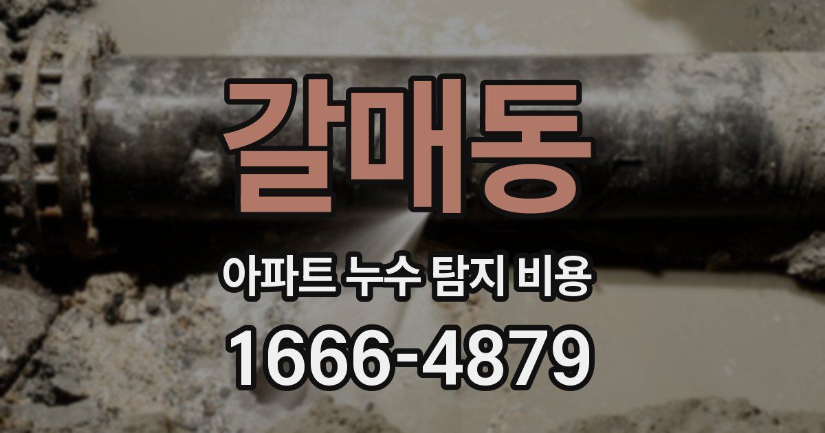 갈매동 아파트 누수 탐지 비용