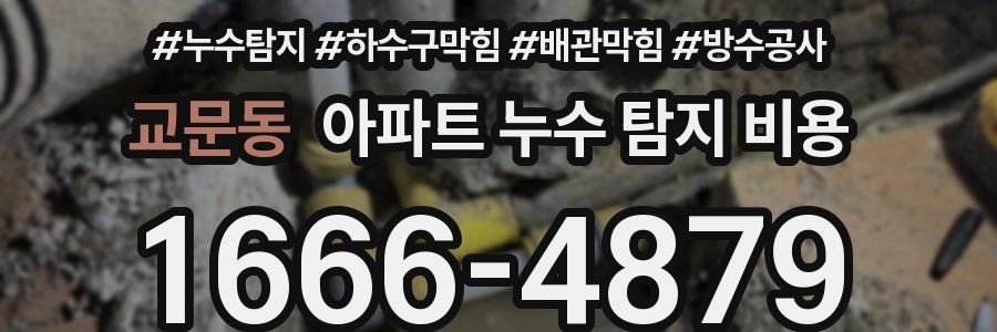 교문동 아파트 누수 탐지 비용