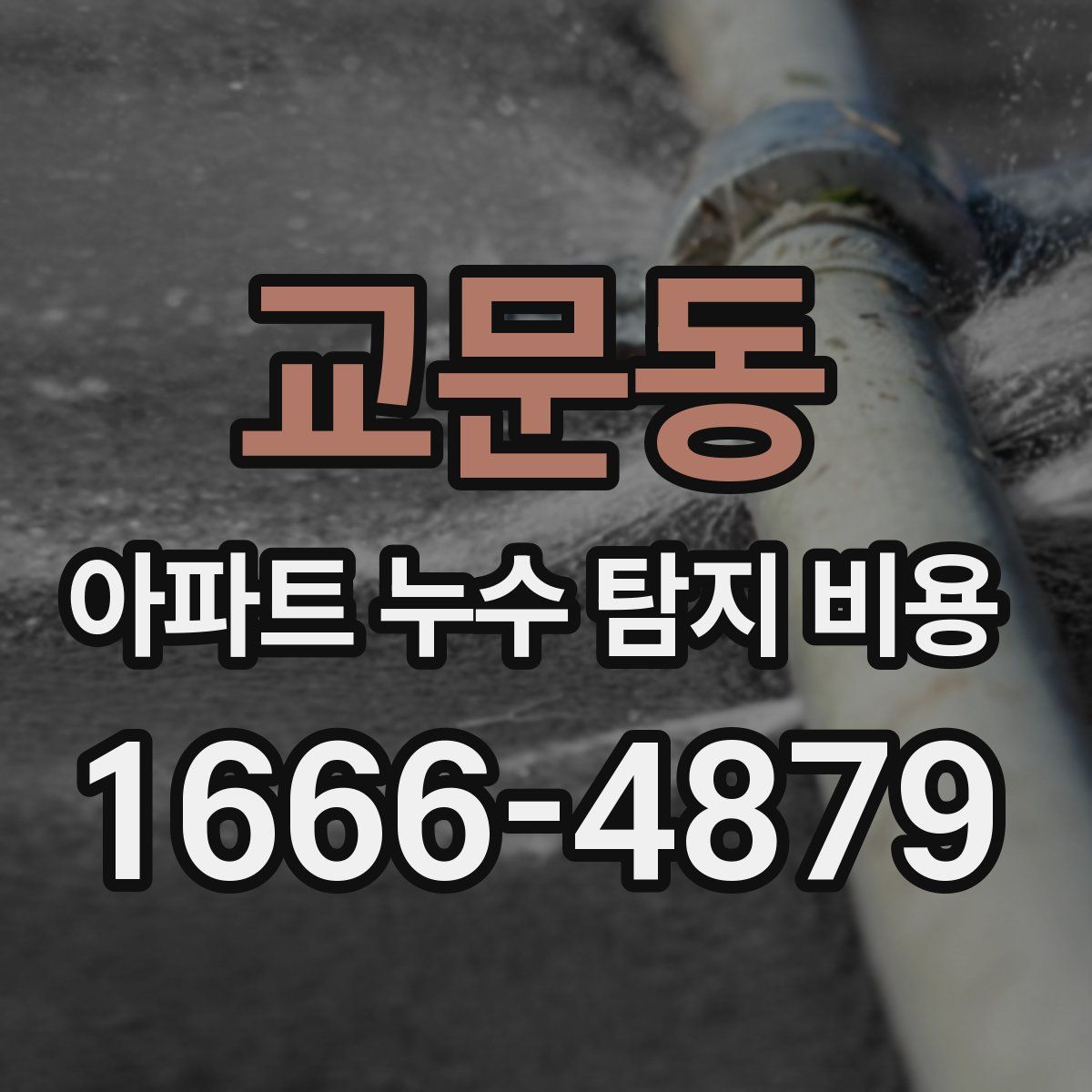 교문동 아파트 누수 탐지 비용