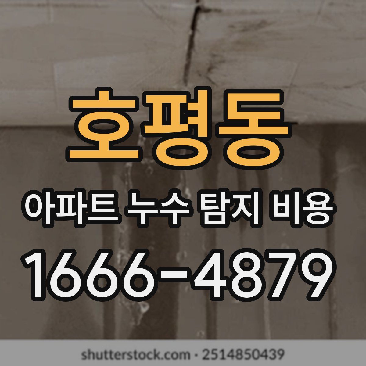 호평동 아파트 누수 탐지 비용