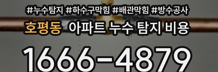 호평동 아파트 누수 탐지 비용