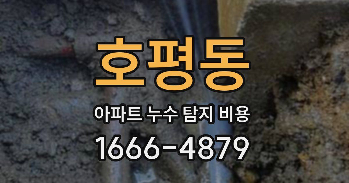 호평동 아파트 누수 탐지 비용