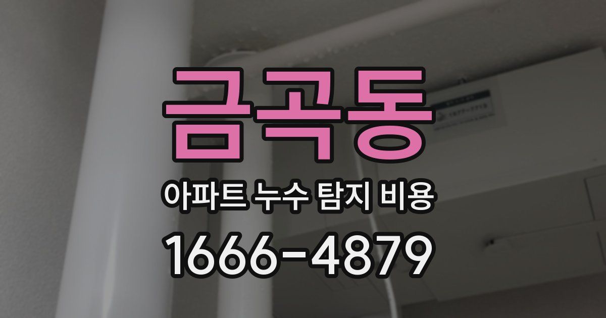 금곡동 아파트 누수 탐지 비용