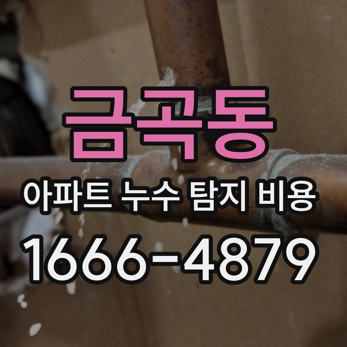 금곡동 아파트 누수 탐지 비용