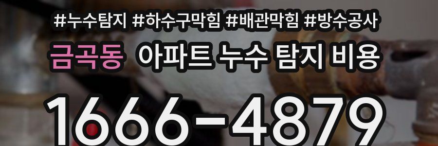 금곡동 아파트 누수 탐지 비용
