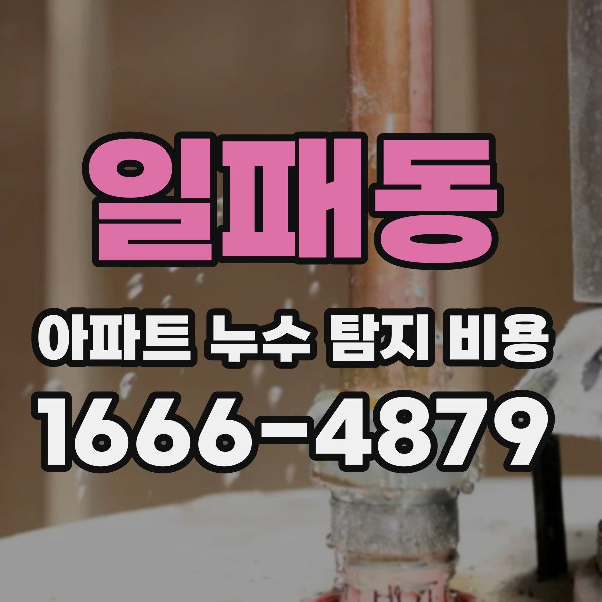 일패동 아파트 누수 탐지 비용