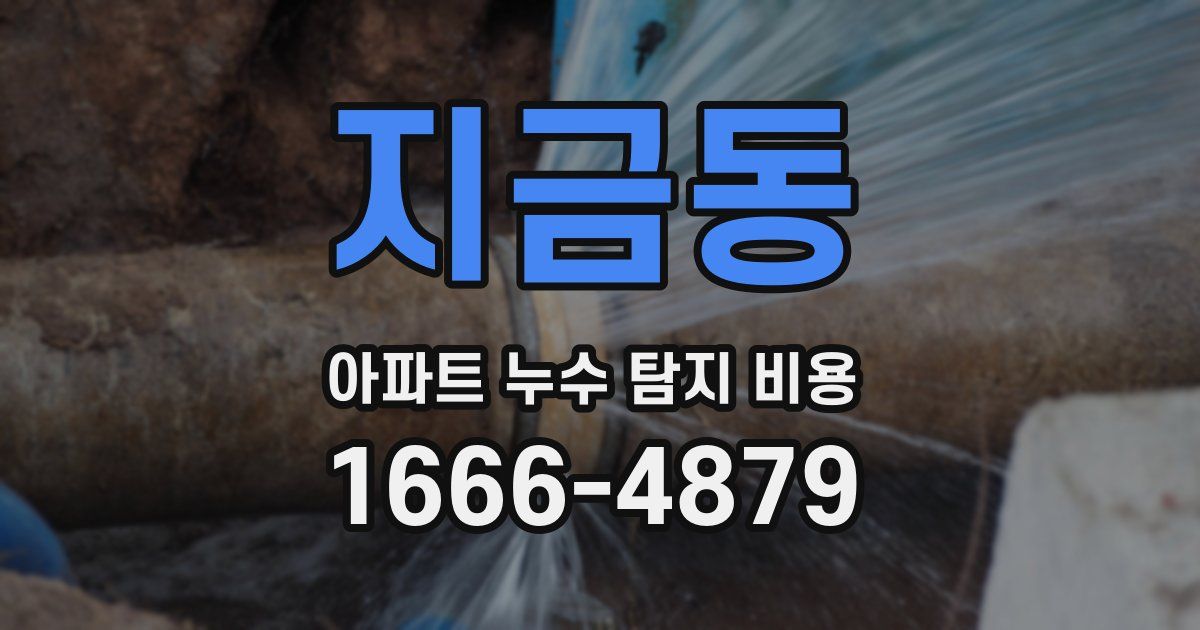 지금동 아파트 누수 탐지 비용