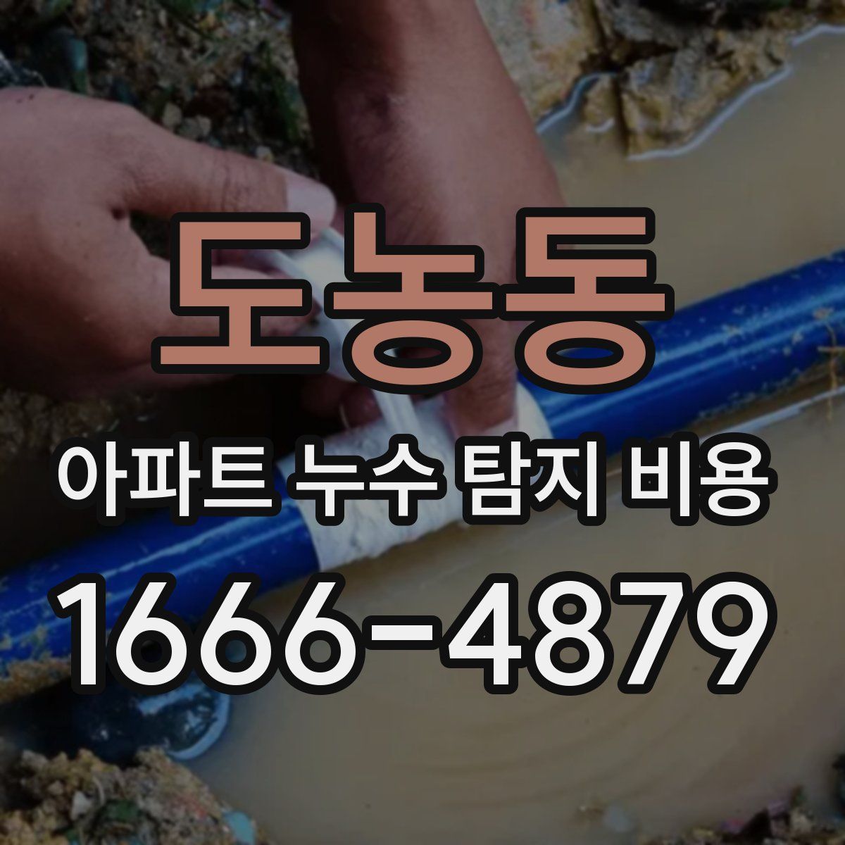 도농동 아파트 누수 탐지 비용