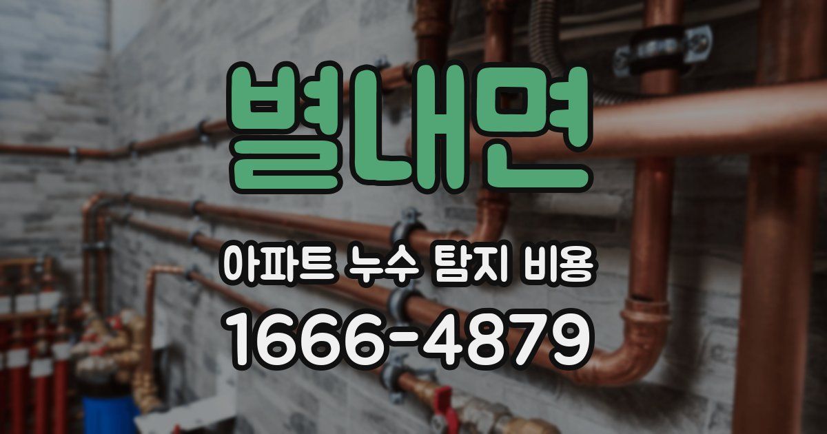 별내면 아파트 누수 탐지 비용