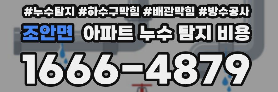 조안면 아파트 누수 탐지 비용