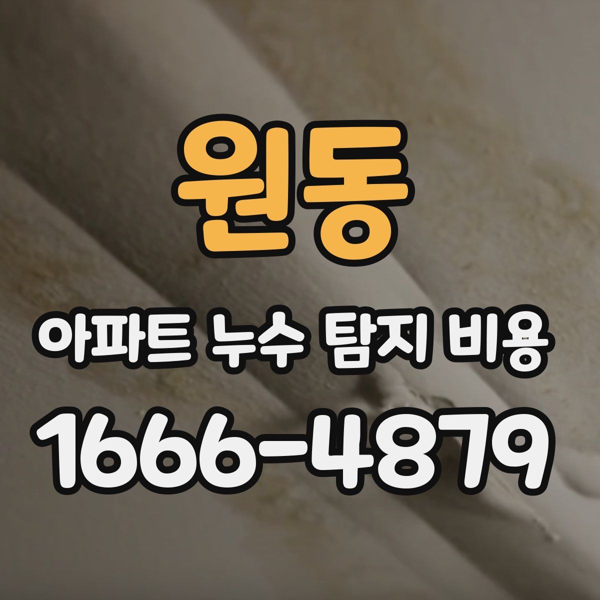 원동 아파트 누수 탐지 비용