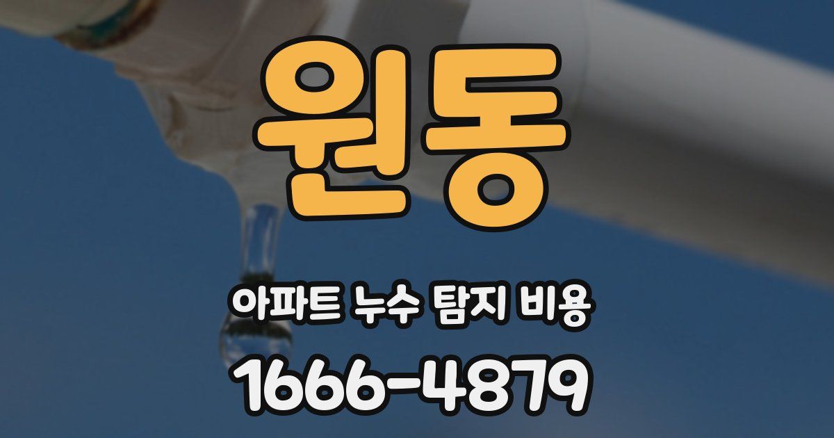 원동 아파트 누수 탐지 비용