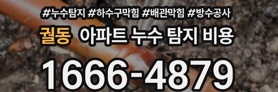 궐동 아파트 누수 탐지 비용