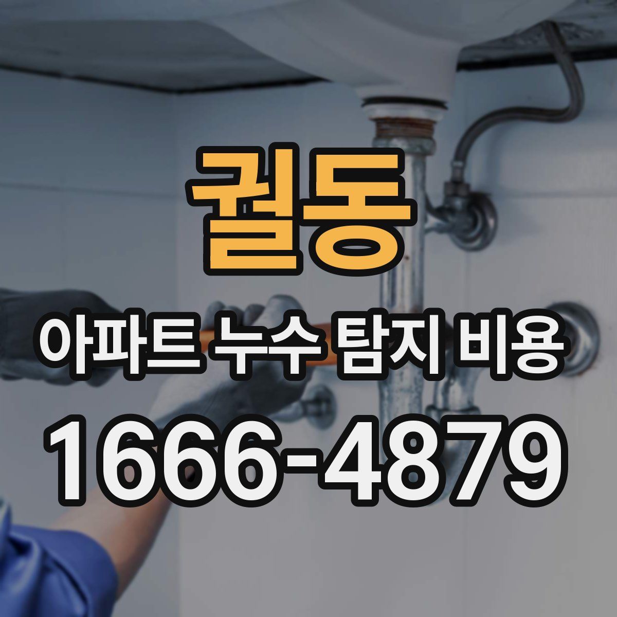 궐동 아파트 누수 탐지 비용