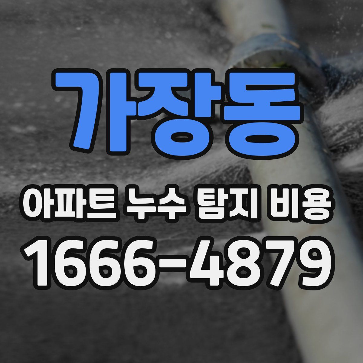 가장동 아파트 누수 탐지 비용