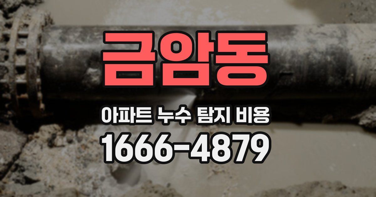 금암동 아파트 누수 탐지 비용