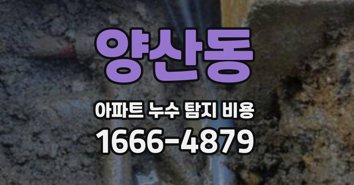 양산동 아파트 누수 탐지 비용