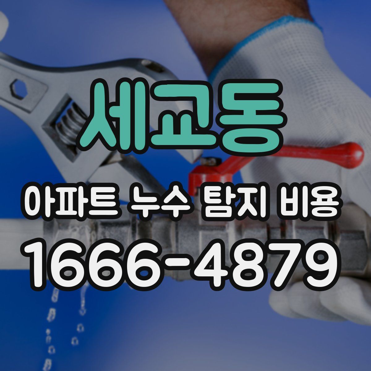 세교동 아파트 누수 탐지 비용