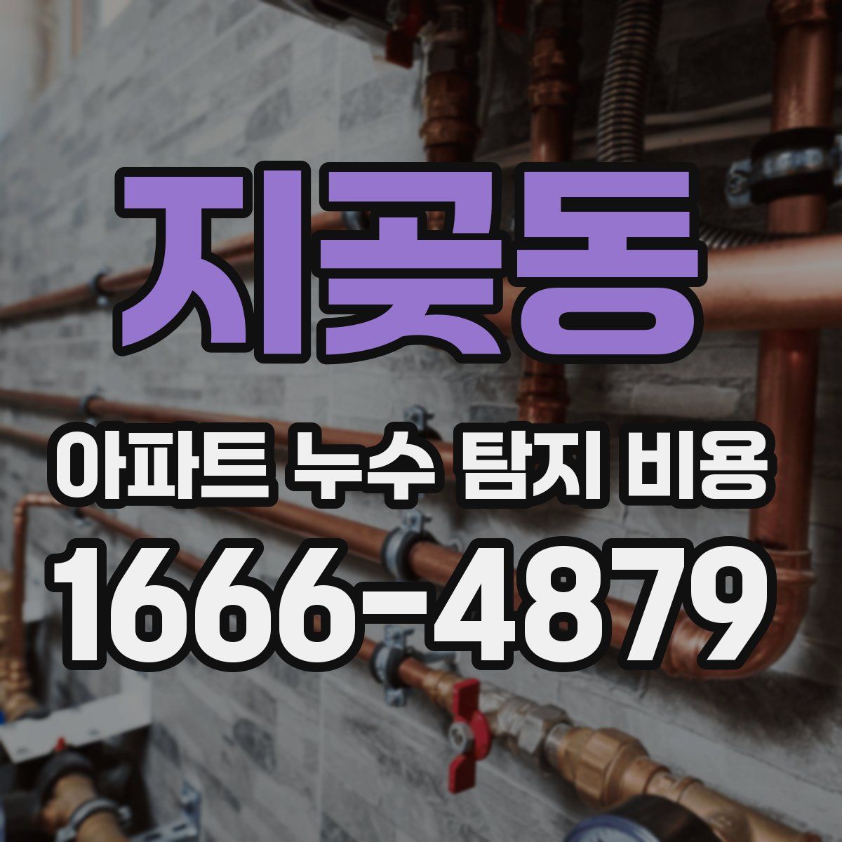 지곶동 아파트 누수 탐지 비용