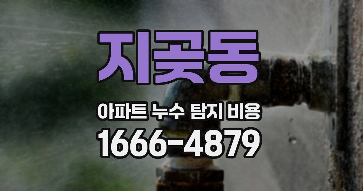 지곶동 아파트 누수 탐지 비용