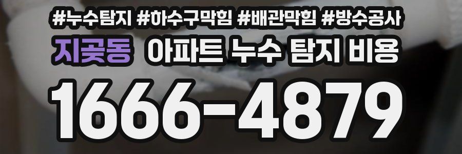 지곶동 아파트 누수 탐지 비용