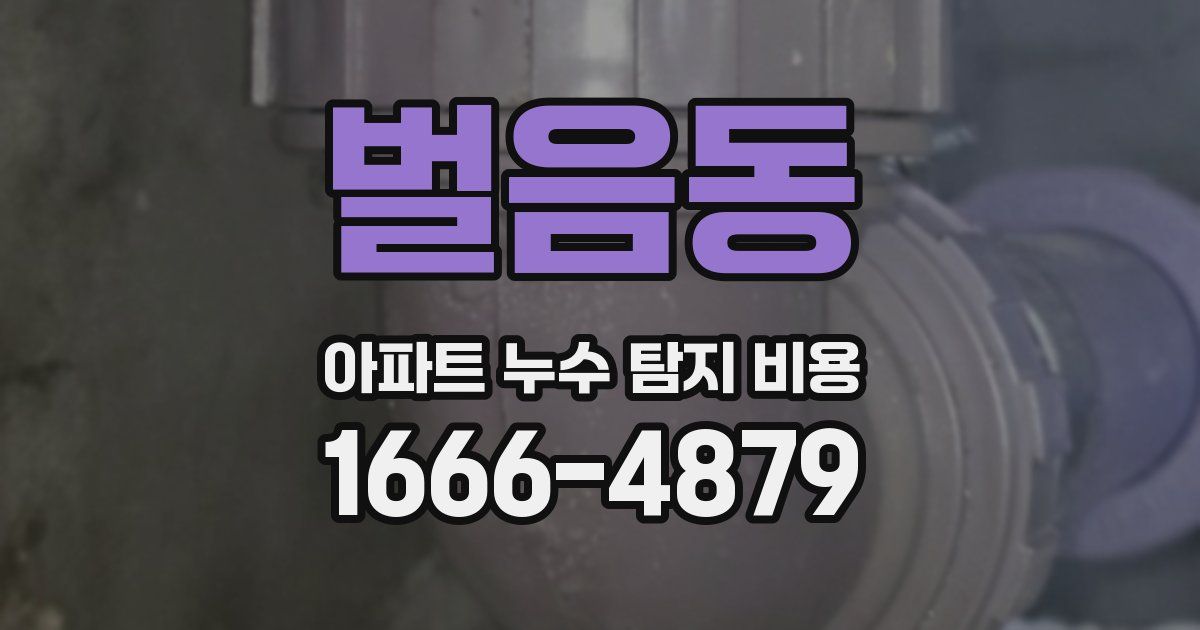 벌음동 아파트 누수 탐지 비용