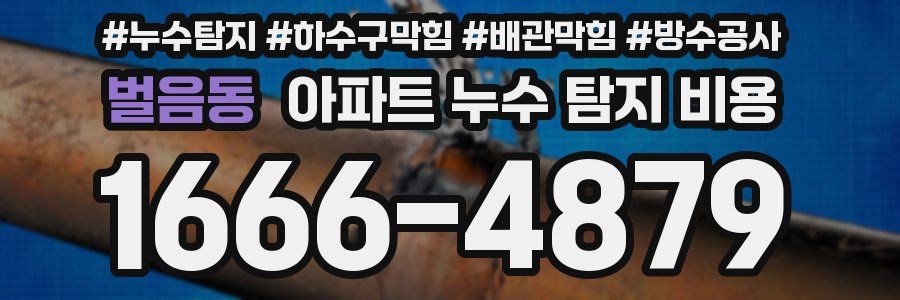 벌음동 아파트 누수 탐지 비용