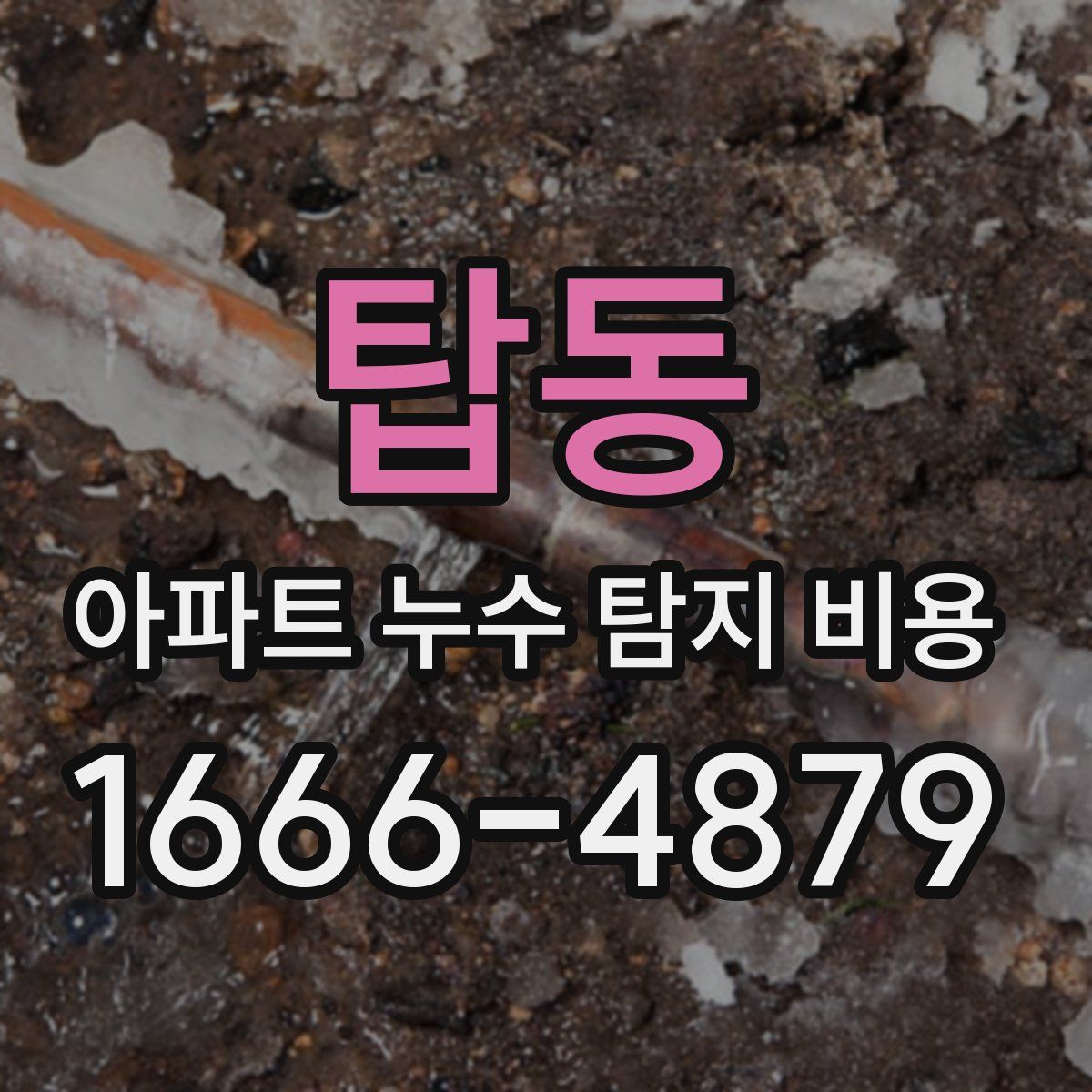 탑동 아파트 누수 탐지 비용