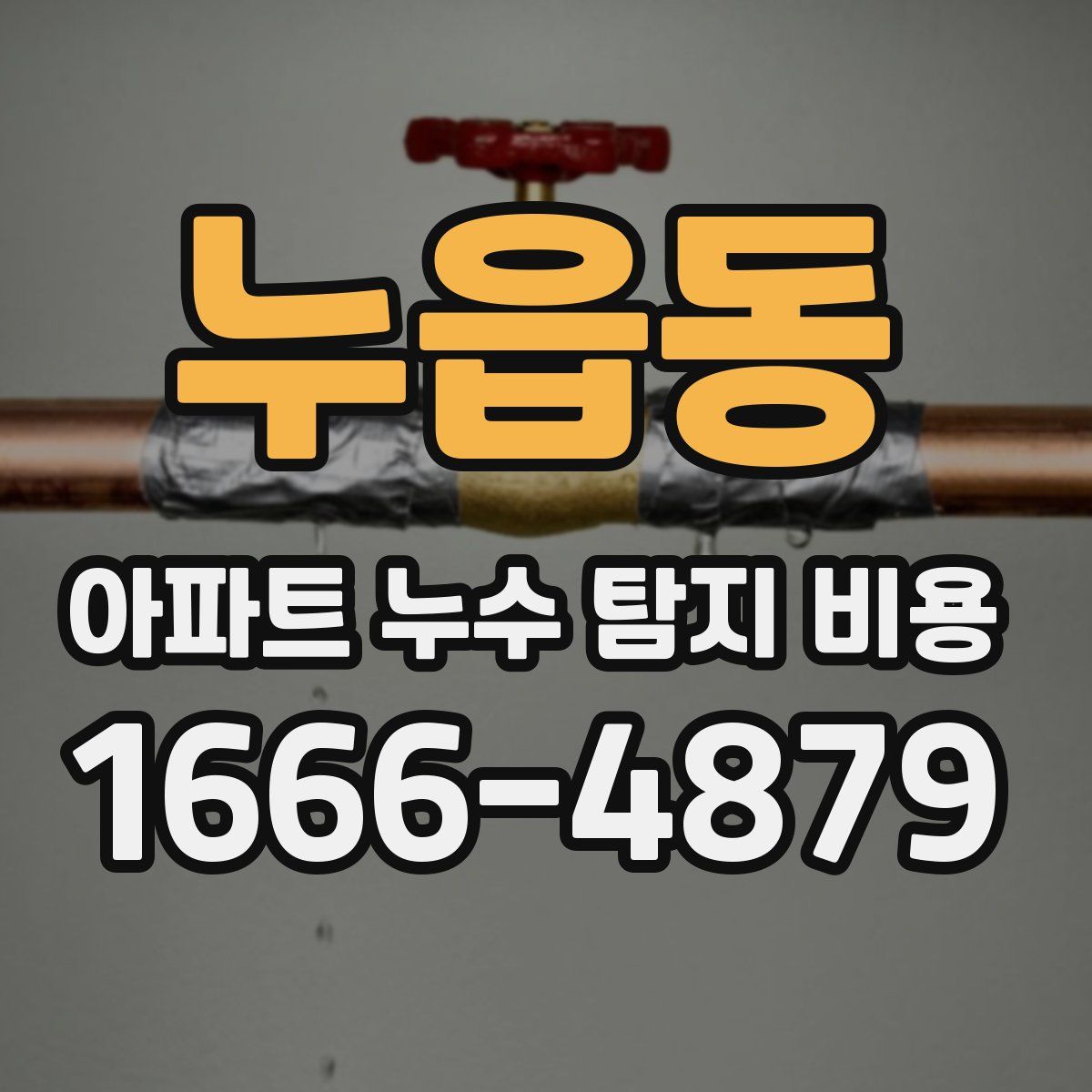 누읍동 아파트 누수 탐지 비용