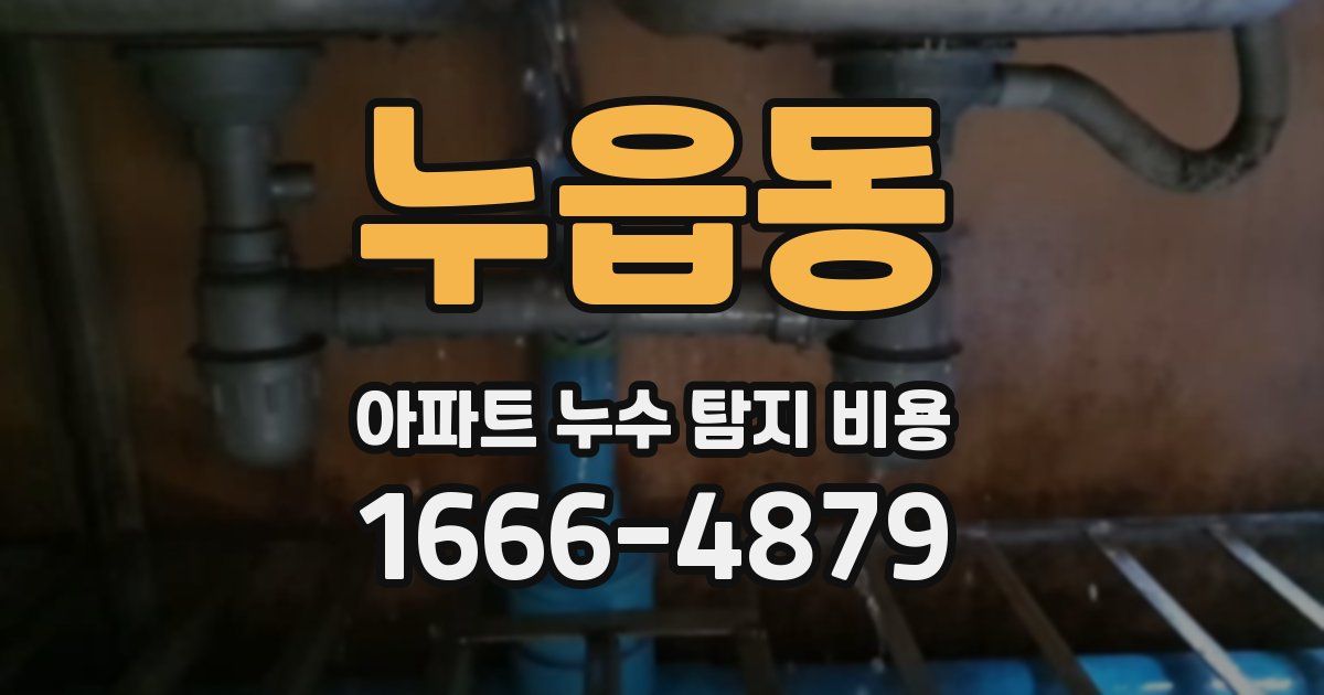 누읍동 아파트 누수 탐지 비용