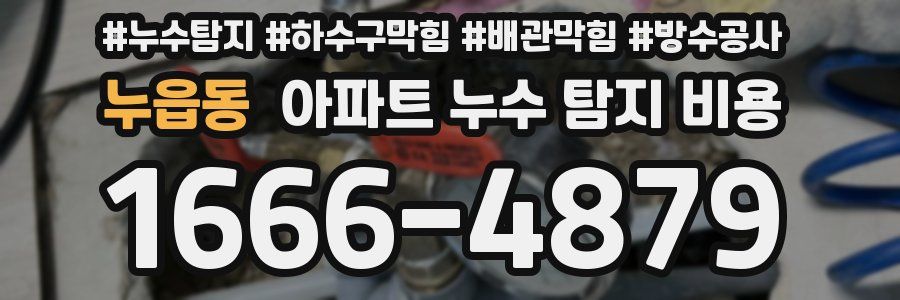 누읍동 아파트 누수 탐지 비용
