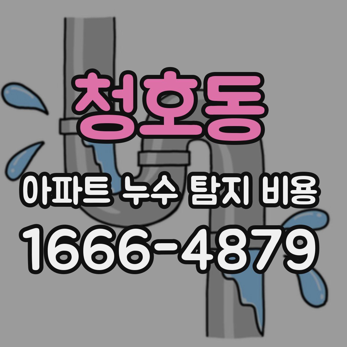 청호동 아파트 누수 탐지 비용