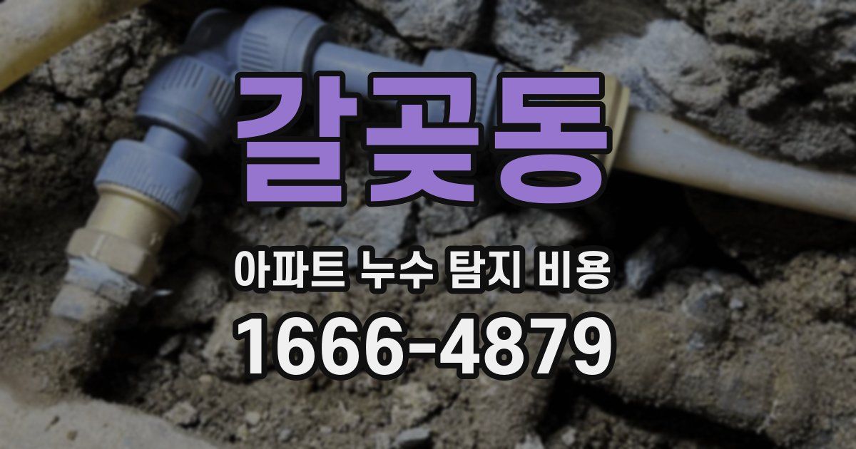 갈곶동 아파트 누수 탐지 비용