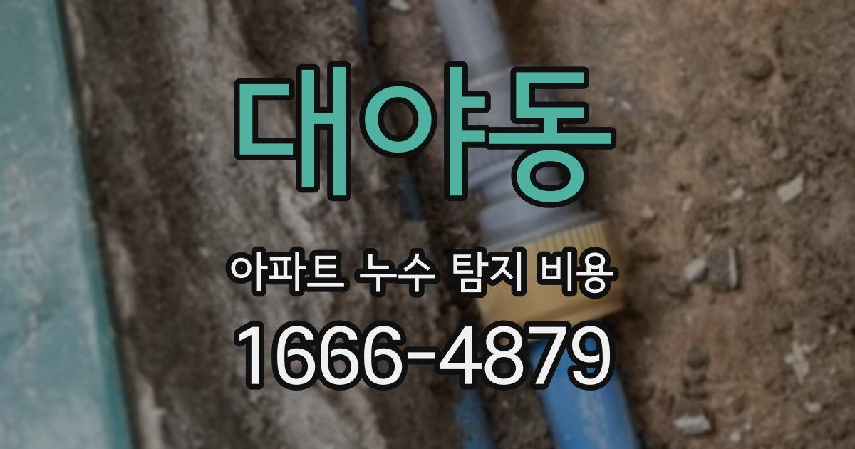 대야동 아파트 누수 탐지 비용