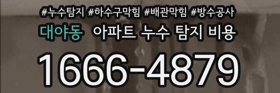 대야동 아파트 누수 탐지 비용