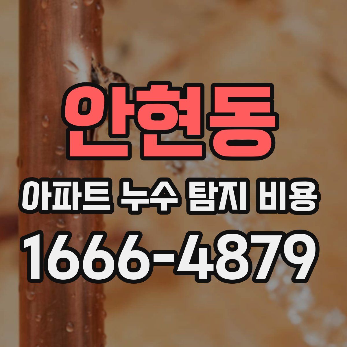 안현동 아파트 누수 탐지 비용