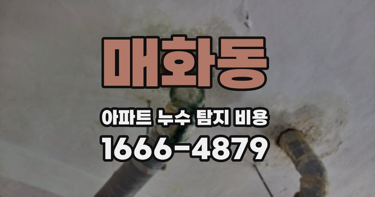 매화동 아파트 누수 탐지 비용