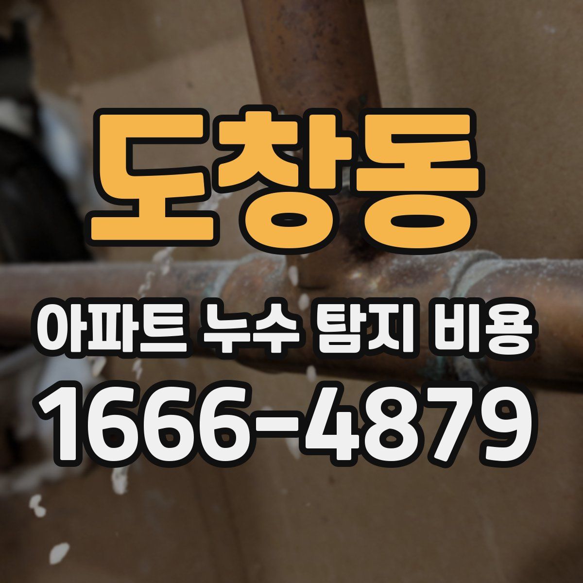 도창동 아파트 누수 탐지 비용