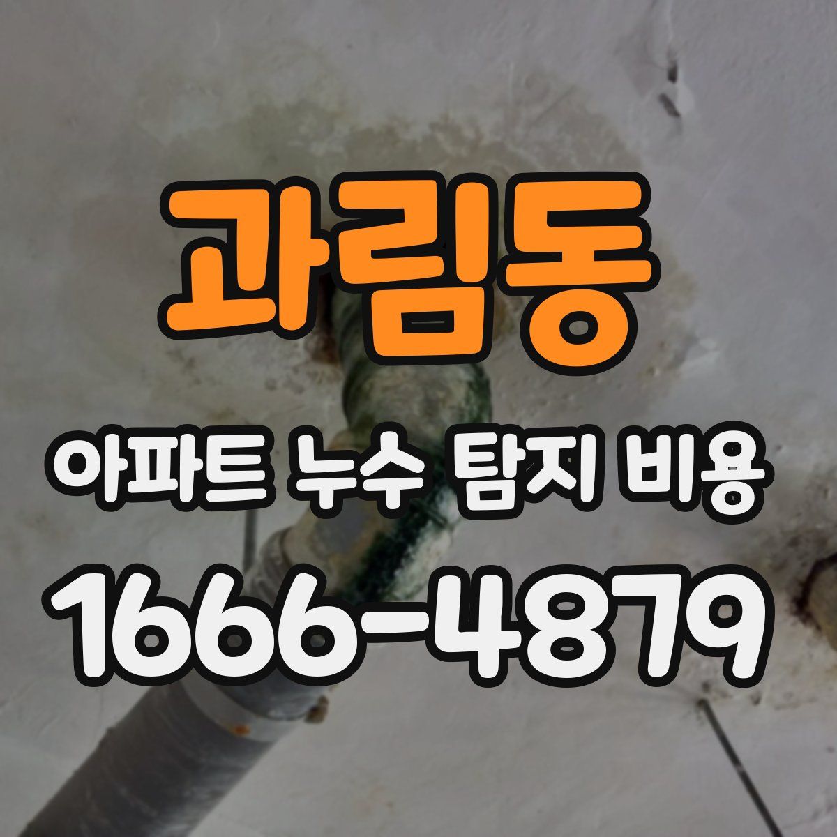 과림동 아파트 누수 탐지 비용