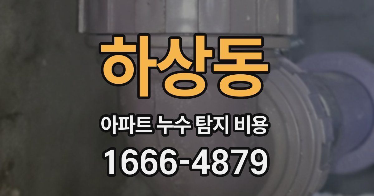 하상동 아파트 누수 탐지 비용