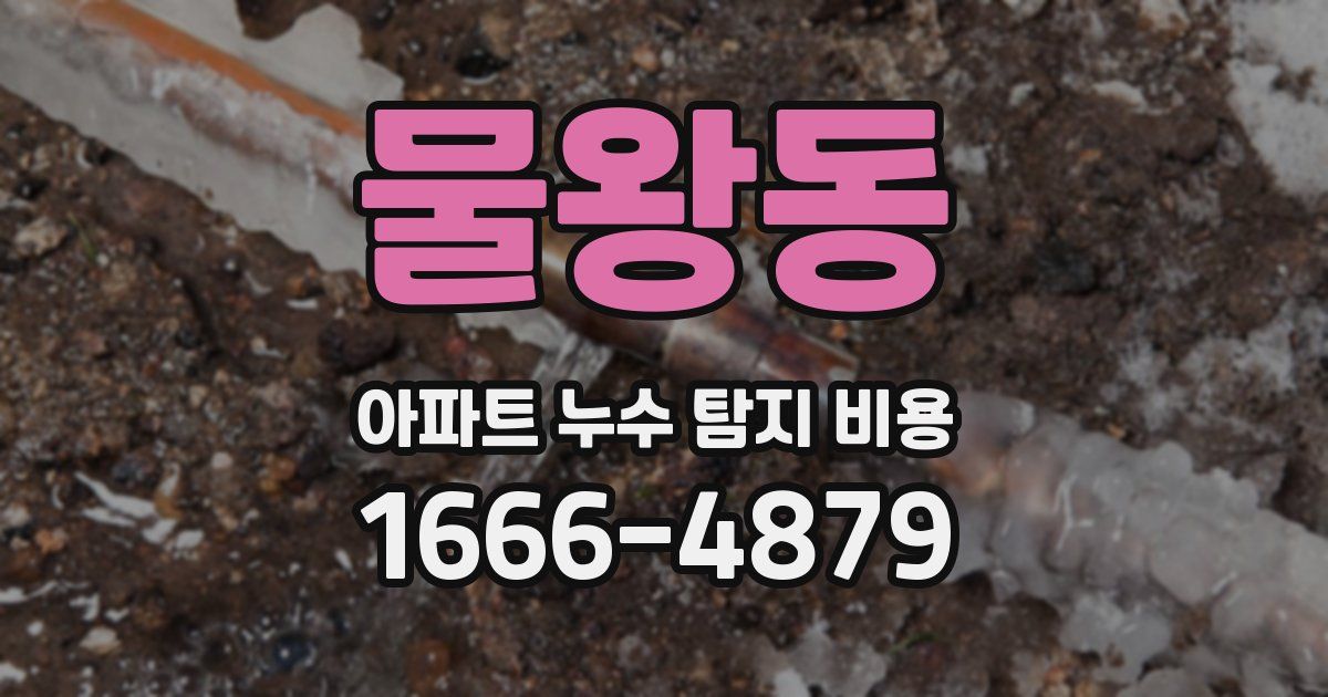 물왕동 아파트 누수 탐지 비용