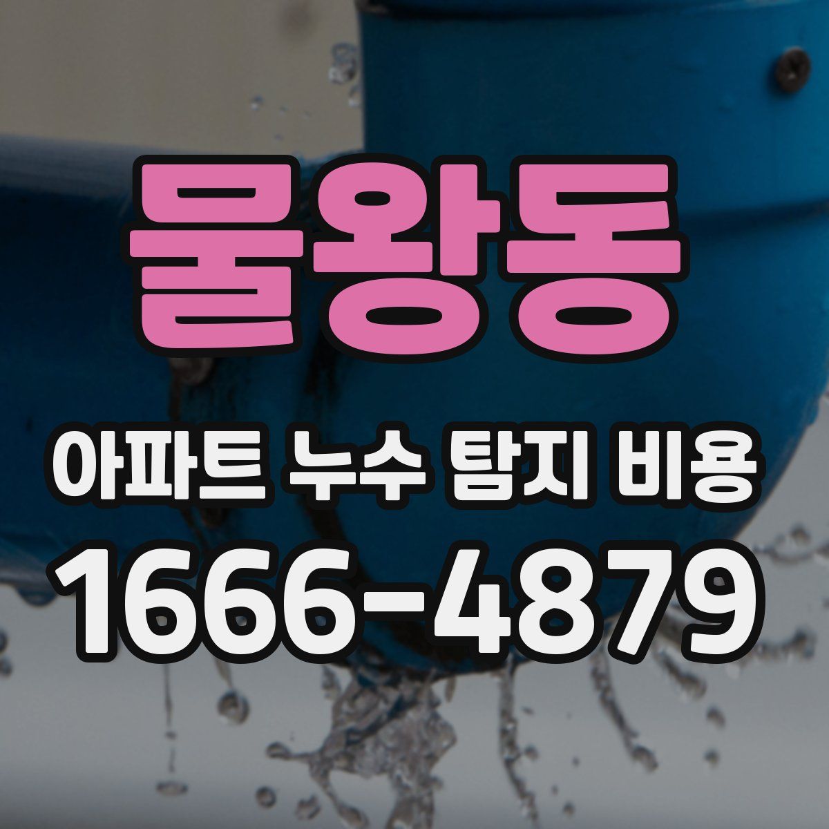 물왕동 아파트 누수 탐지 비용