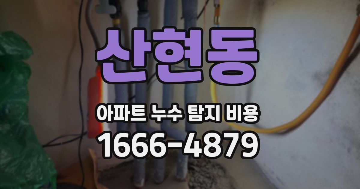 산현동 아파트 누수 탐지 비용