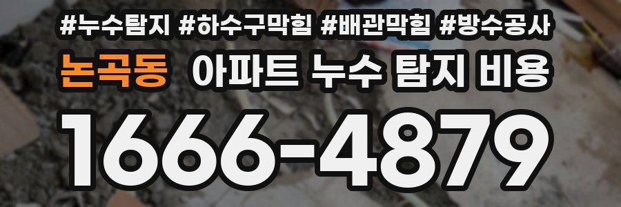 논곡동 아파트 누수 탐지 비용