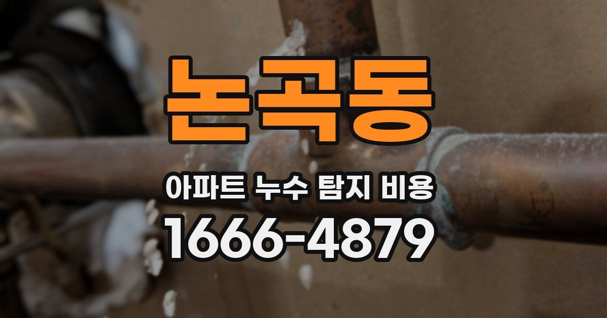 논곡동 아파트 누수 탐지 비용